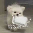 小鱼不高兴