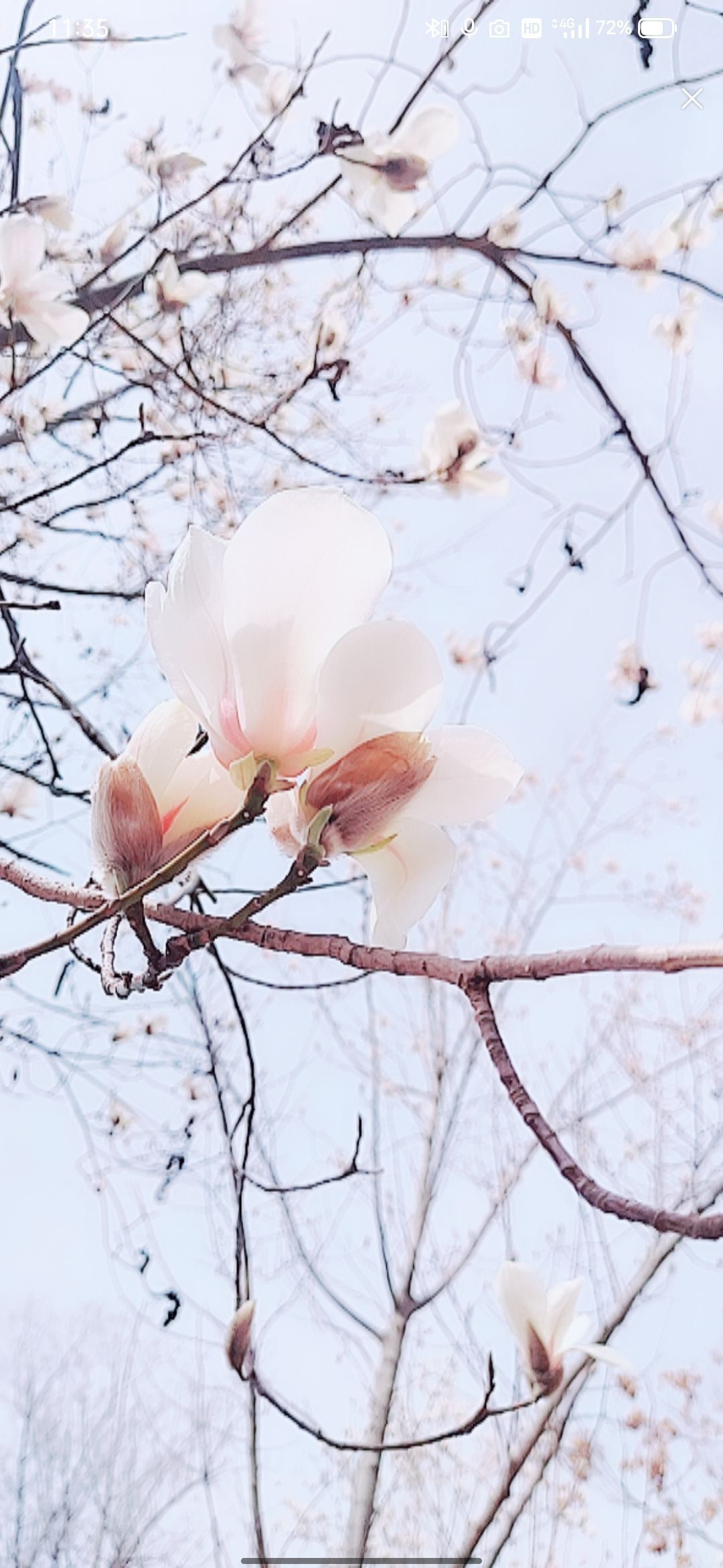 婷婷💕感恩有你陪伴的图片