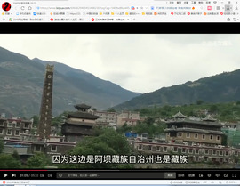 保利哥主播照片
