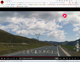 保利哥主播照片