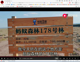 保利哥主播照片