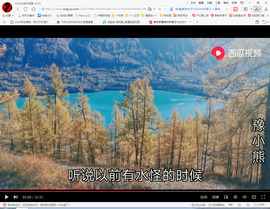 保利哥主播照片