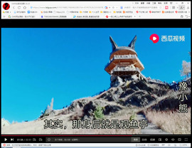 保利哥主播照片