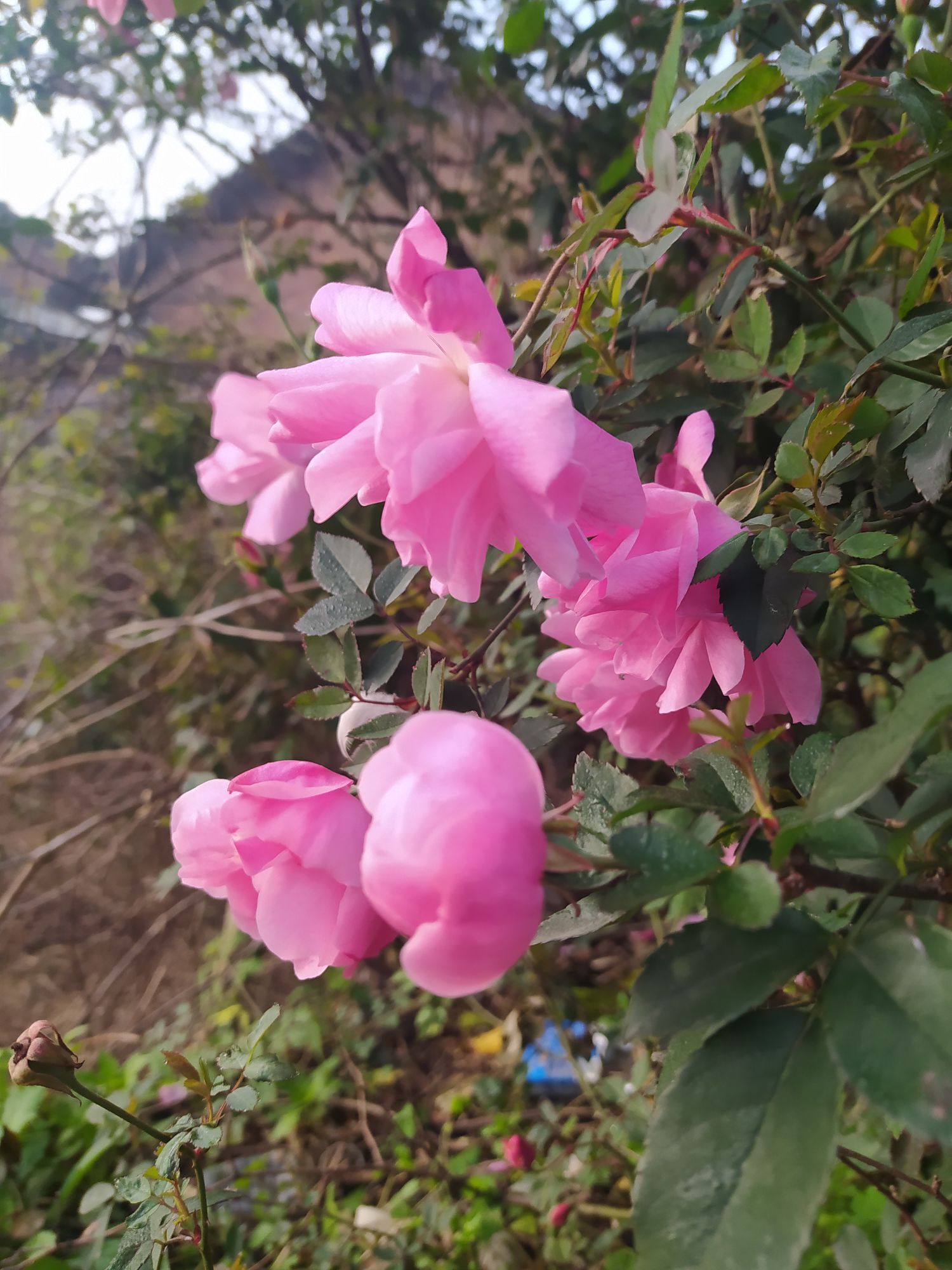 第九章/遇见的主播照片