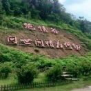 幸福有你wmq