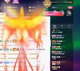 萌新不一定新主播照片