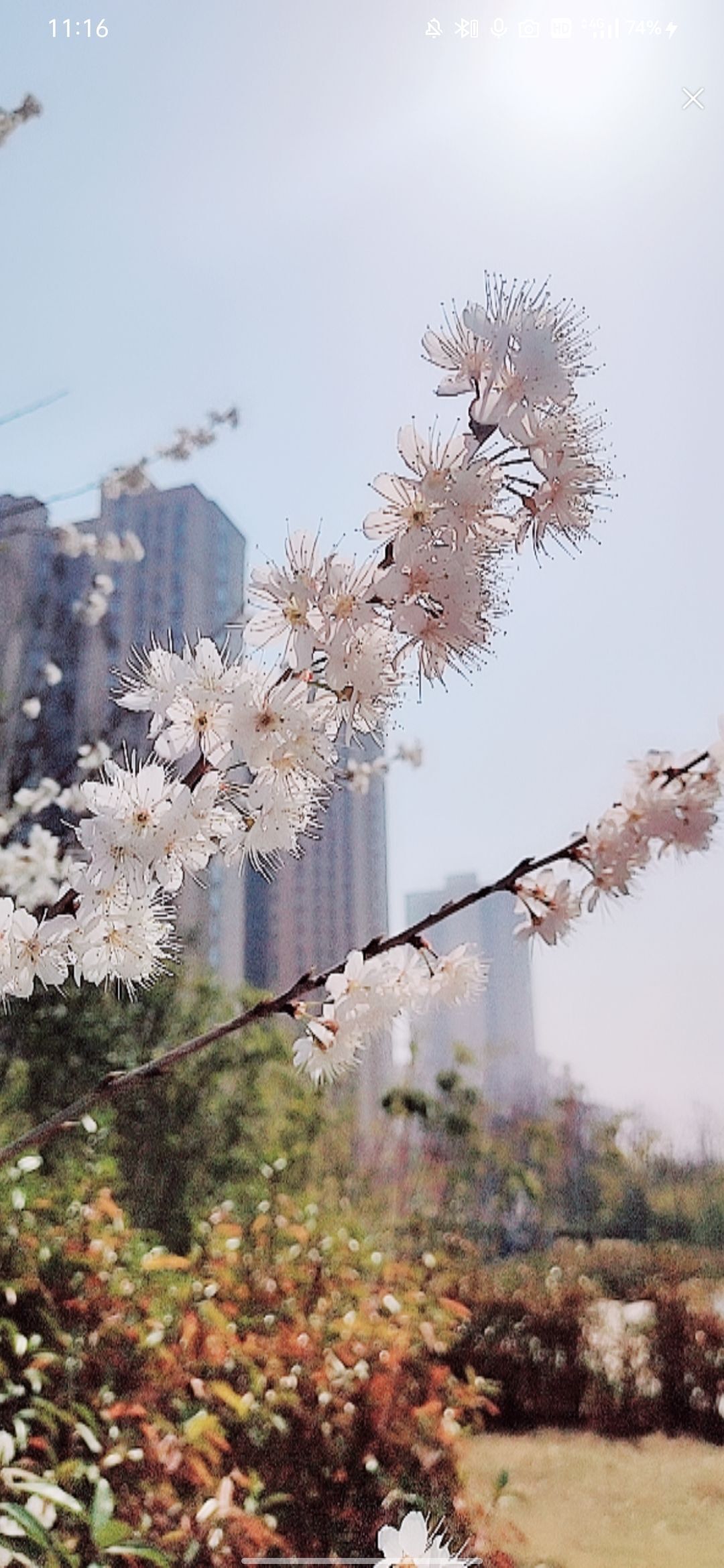 婷婷💕感恩有你陪伴的图片