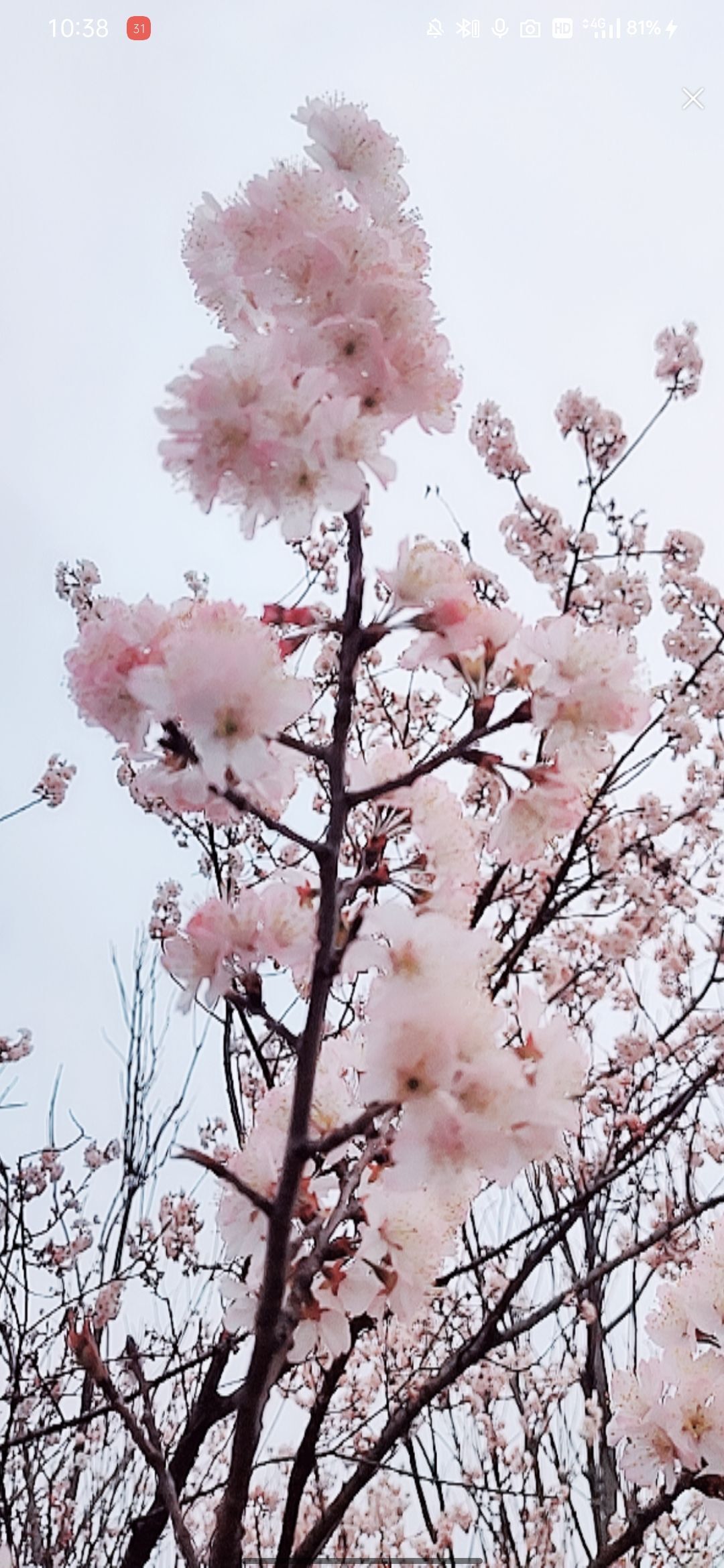 婷婷💕感恩有你陪伴的图片