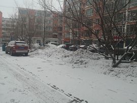 天王盖地虎虎044的图片