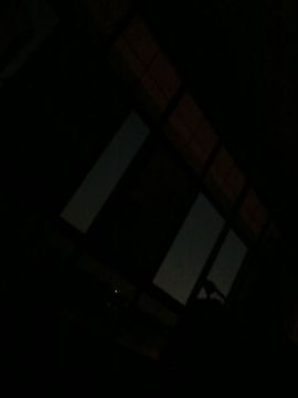 我叫鸟哥哥的图片