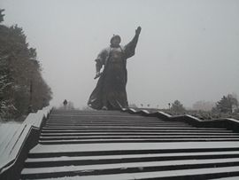 天王盖地虎虎044的图片