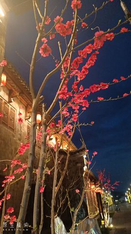 Love四妹主播照片