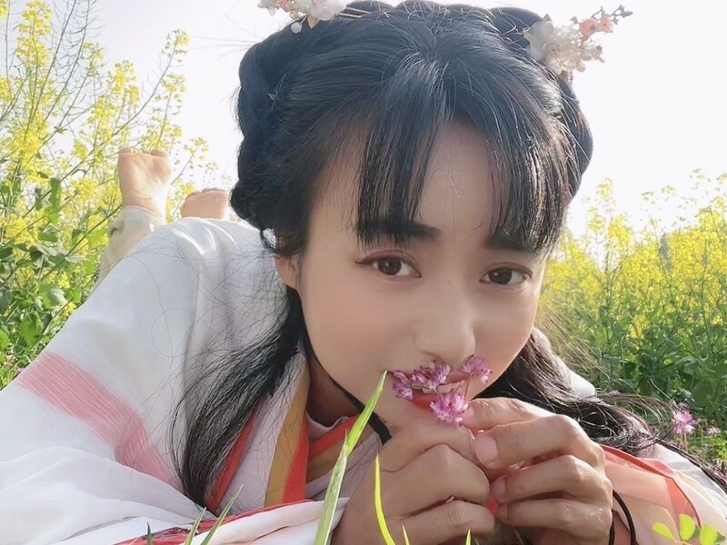 东方不败哪田园风光的主播海报