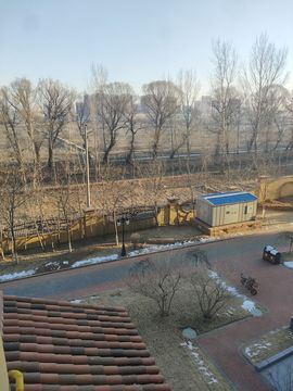 你好扎，好无耻主播照片