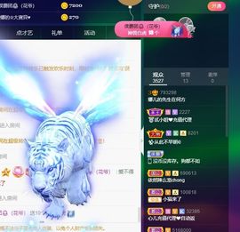 萌新不一定新主播照片