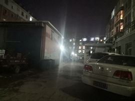 天王盖地虎虎044的图片