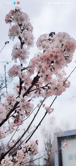 婷婷💕求过月底任务的图片
