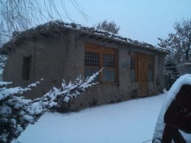 天王盖地虎虎044的图片