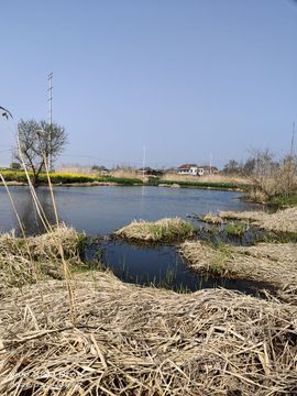 🌾主任→か弎哥✨主播照片