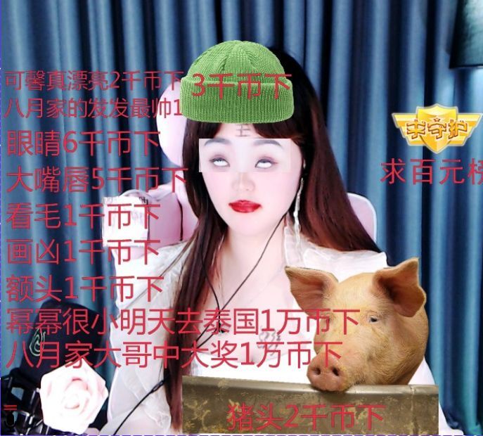 菲儿🌻加油的图片