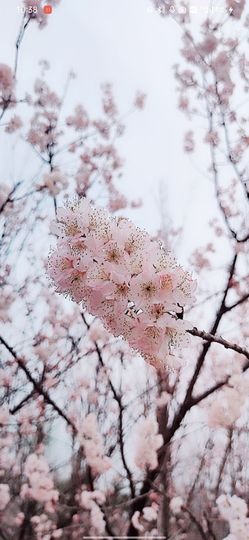 婷婷💕求过月底任务的图片