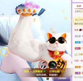 🐯双双🍀主播照片