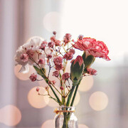 ??花開(kāi)富貴??的頭像