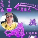 醉卧美人膝t0