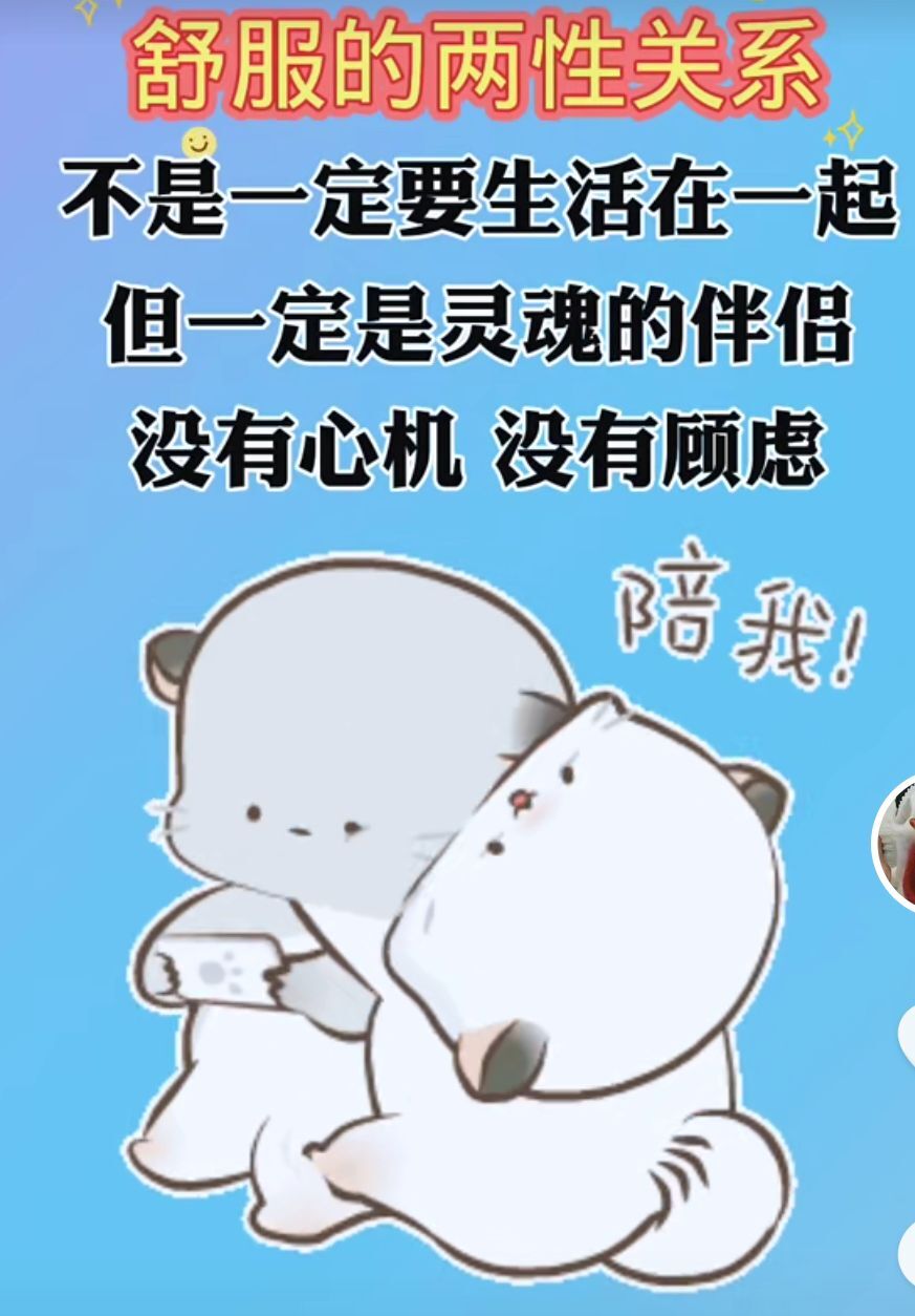 丑小鸭💞愿有一束光的图片