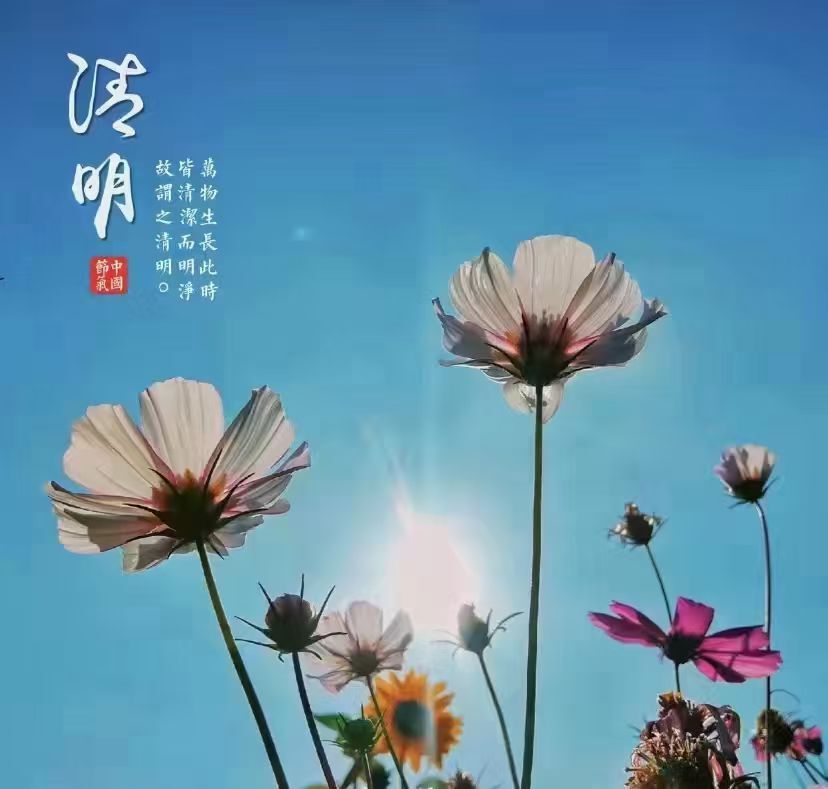 安琪同学的图片