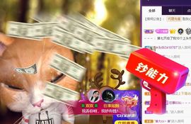 🐯双双🍀主播照片