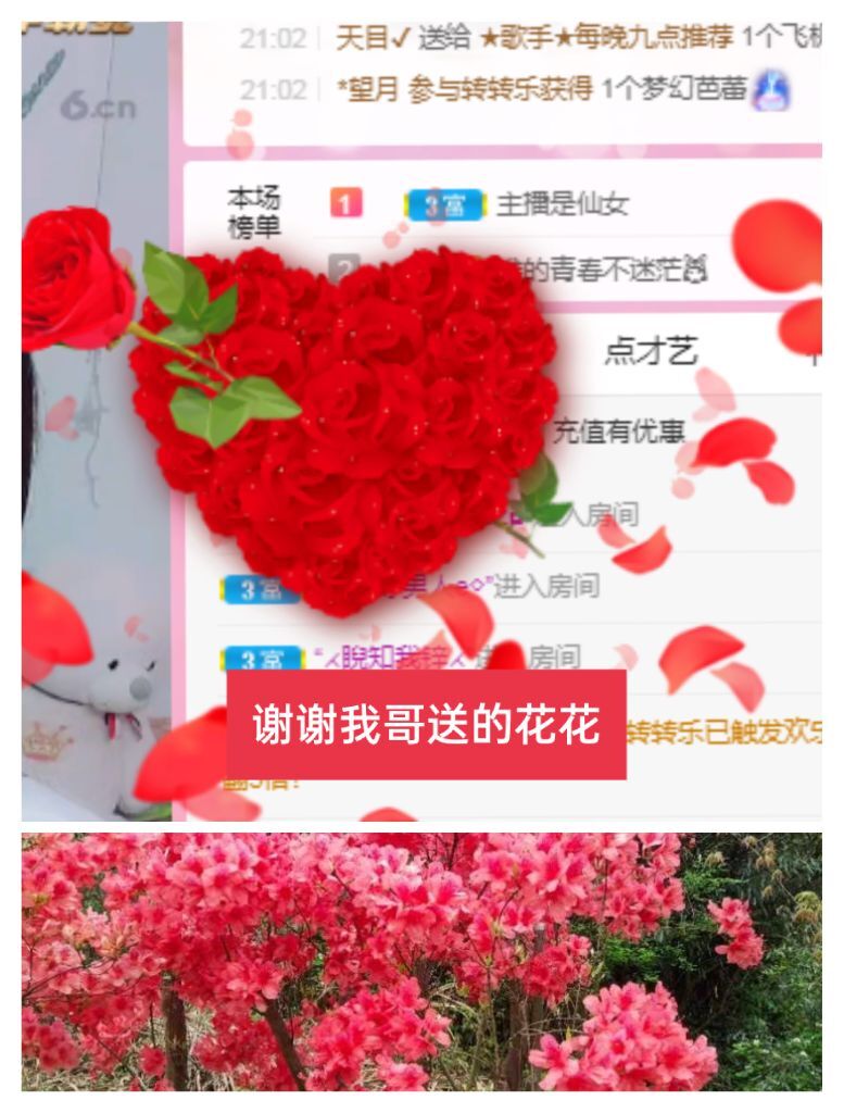婷婷💕感恩有你陪伴的图片