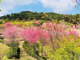 唯爱黛琳主播照片