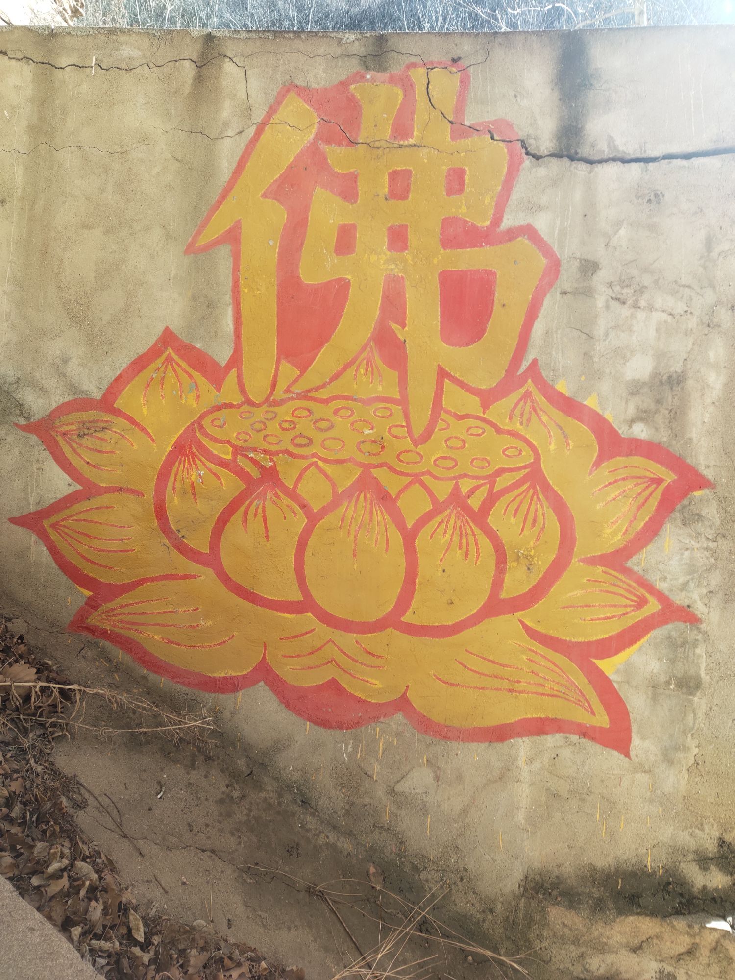 葛兰了的主播照片