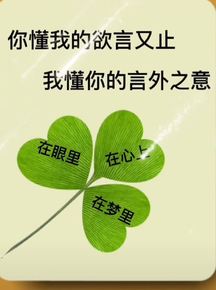 丑小鸭💞愿有一束光的图片
