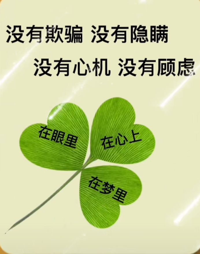 丑小鸭💞愿有一束光的图片