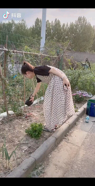 【B100宜昌市夷陵
