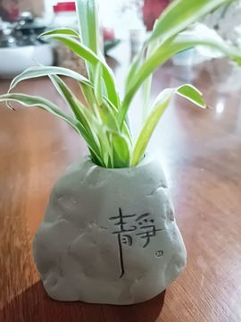 心中无结。。主播照片