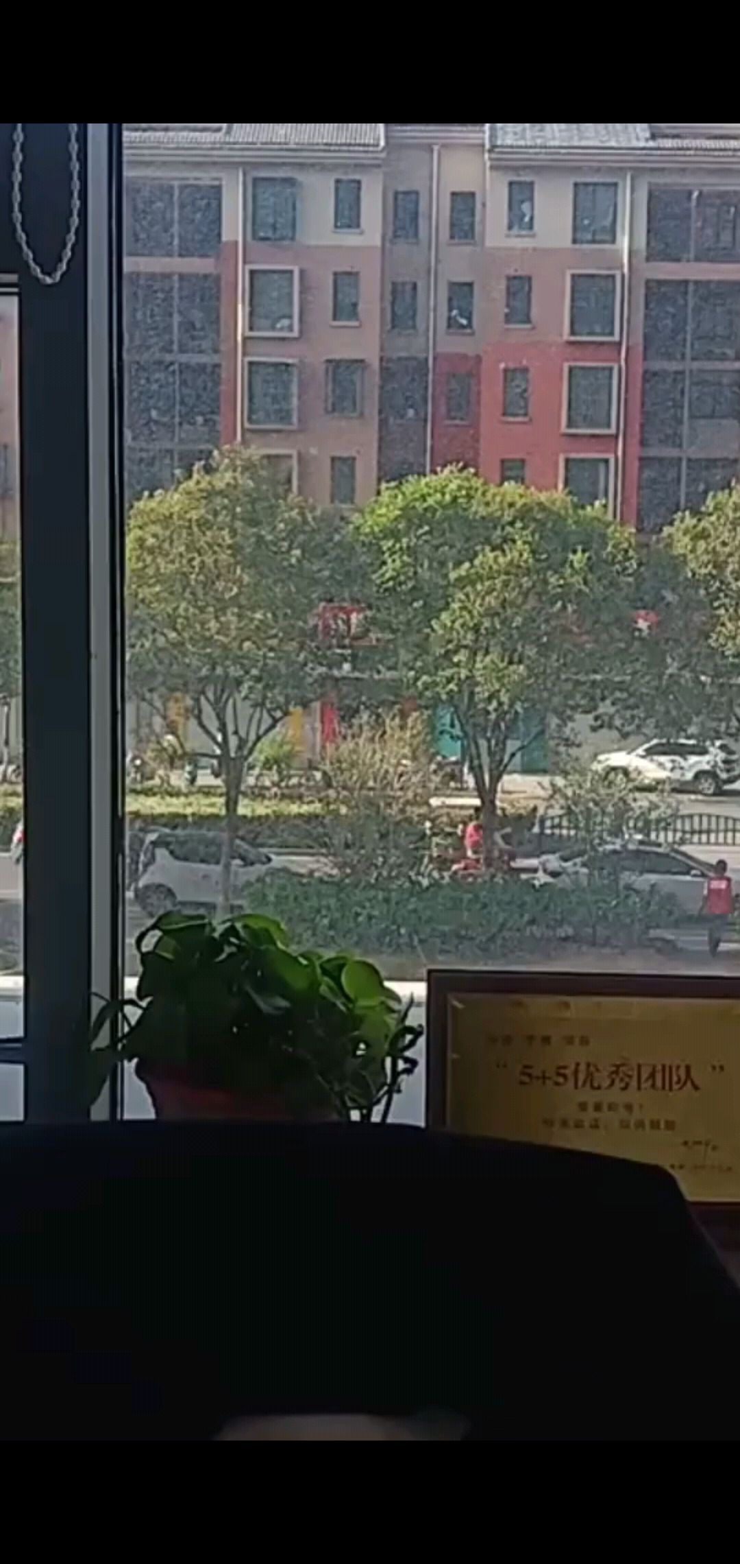 今天有风，出太阳了～