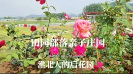 果果(平安好运)主播照片