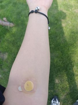 👑䒕暖宝好运旺旺旺主播照片