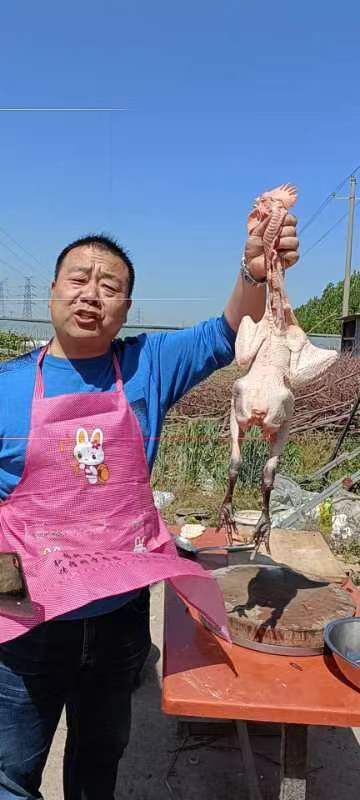 果果(平安好运)的图片