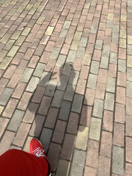 ♬茄酒人生♫主播照片