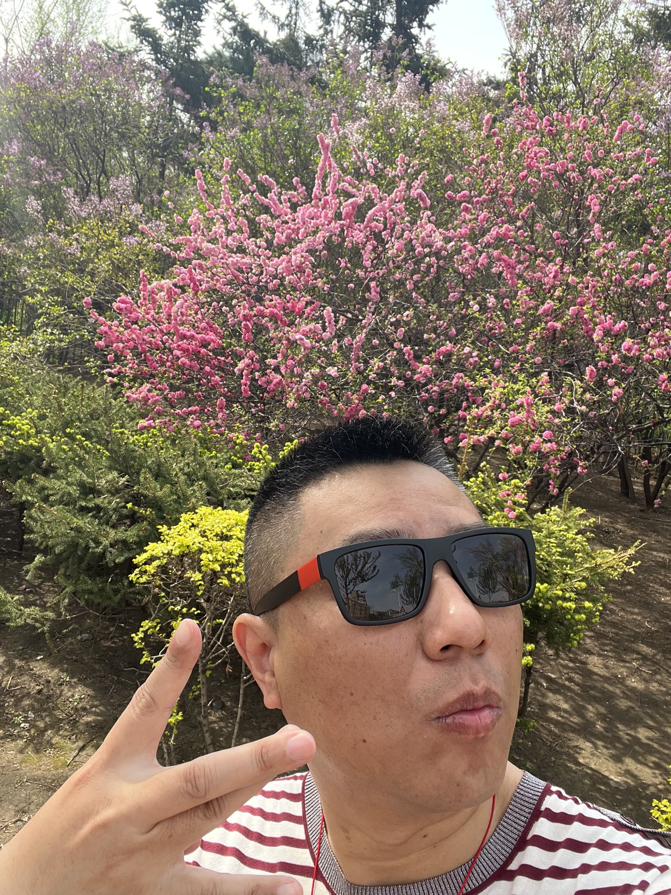 ♬茄酒人生♫主播照片