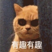 萌新宝宝fygc