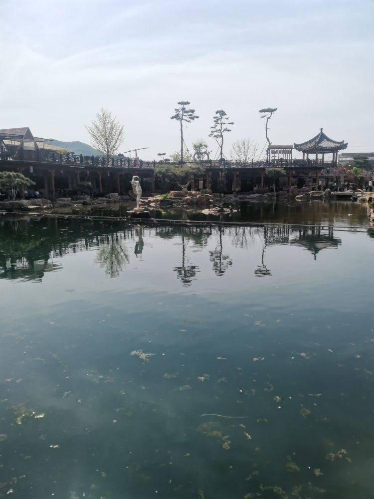 娃の娃的图片