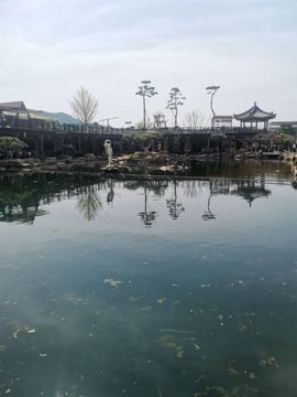 娃の娃主播照片
