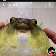 你是我的宝还是草
