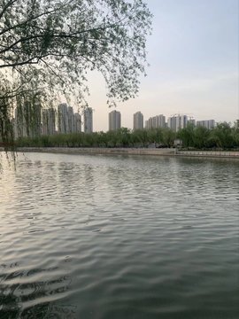 დ释怀დ主播照片