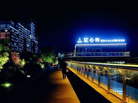 倒三赖王者陪打的图片